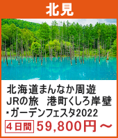 北海道まんなか周遊JRの旅 港町くしろ岸壁・ガーデンフェスタ2022・富良野美瑛 4日間