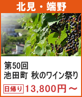 〈北見・端野発着〉第50回池田町秋のワイン祭り 日帰り