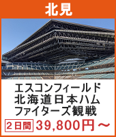 エスコンフィールドHOKKAIDO 北海道日本ハムファイターズ観戦ツアー 2日間