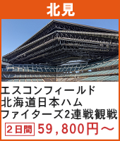 エスコンフィールドHOKKAIDO 北海道日本ハムファイターズ VS東北楽天ゴールデンイーグルス 2連戦観戦ツアー 2日間