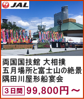 両国国技館 大相撲五月場所と富士山の絶景・隅田川屋形船宴会 3日間